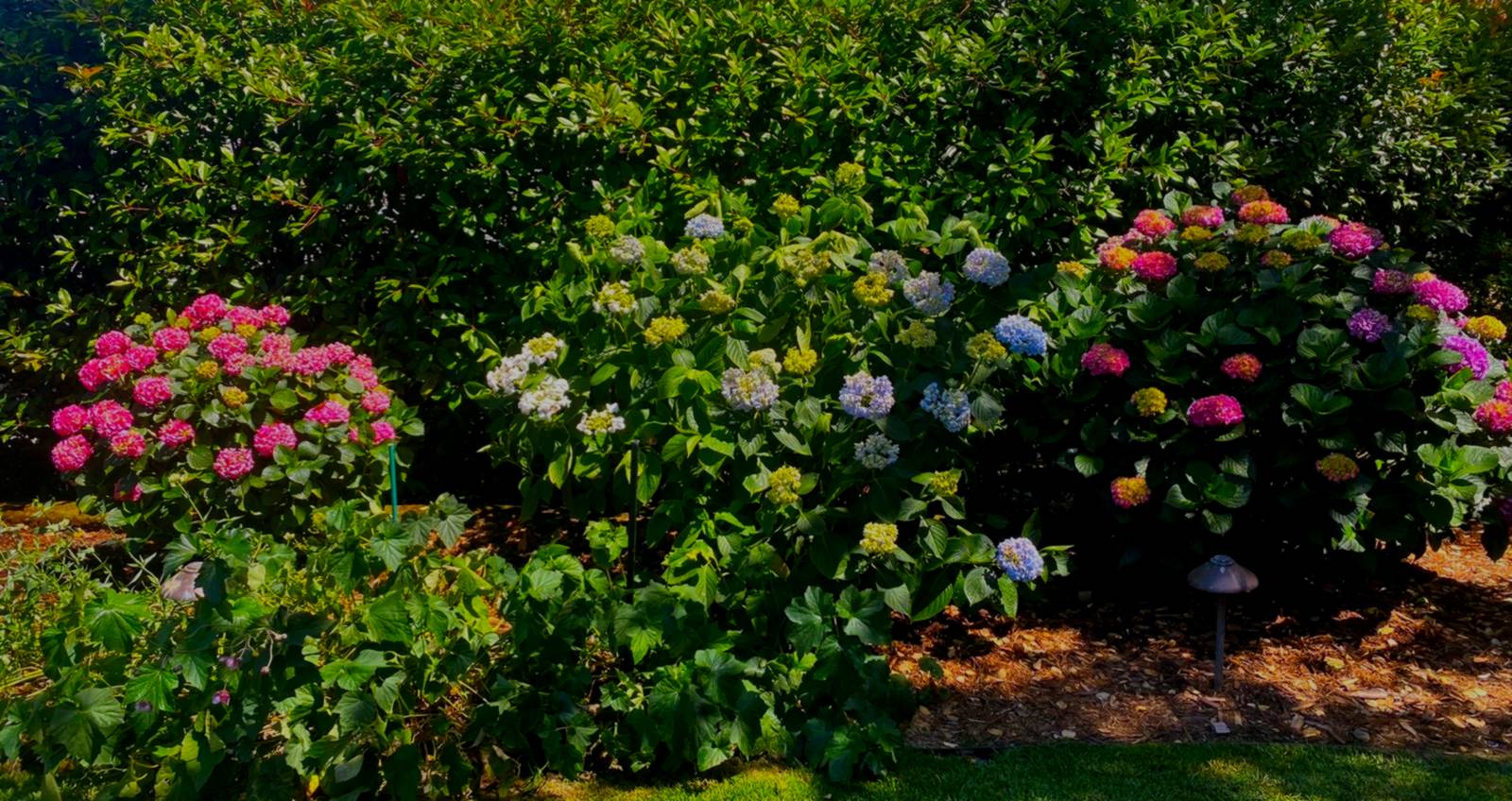 Let Us Make Gardening Easy for You 