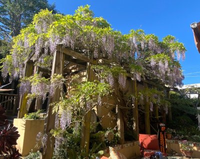 Zaragoza Landscape Management